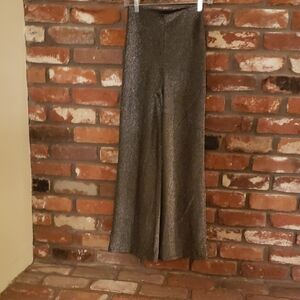 H&M Shiny Gray Wide Leg Pants